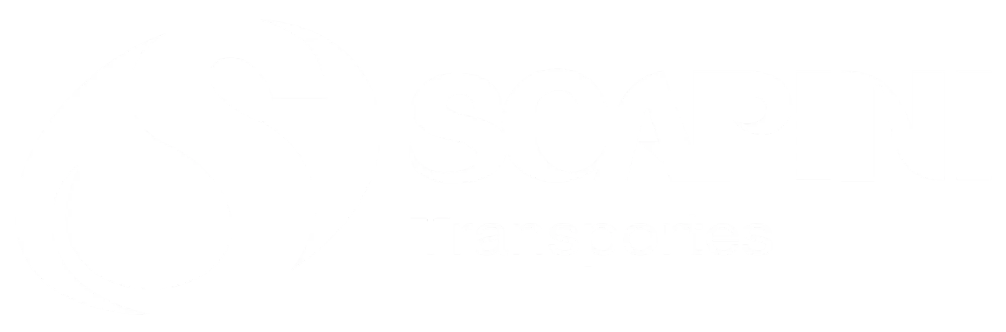 Scapini Transportes